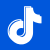 tiktok icon